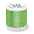 Madeira Rayon Stickgarn Farbe 1169